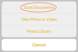 Image of scan documents option